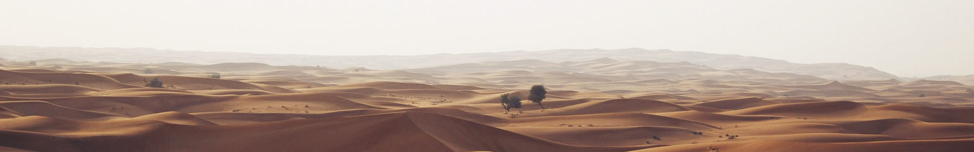 人вʱĻ޹˾